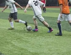 独家揭秘,英博球场惊,喜放票,宝盈集团,宝盈APP,宝盈官方,宝盈登录