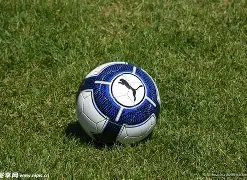 独家揭秘,英博球场惊,喜放票,宝盈集团,宝盈APP,宝盈官方,宝盈登录