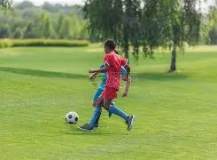 卡裏略动情,追忆,此日铭记心,宝盈集团,宝盈APP,宝盈官方,宝盈登录